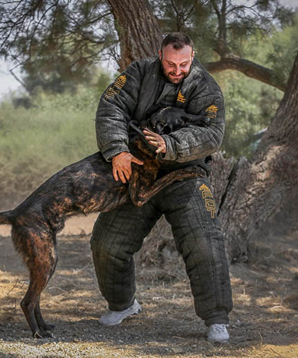 best protection dog bite jacket FDT black